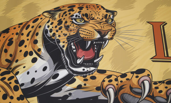 up close photo of fifteen foot long renovate partition with snarling leopard pouncing graphic