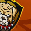 graphic of bull dog head in shield crest with orange background