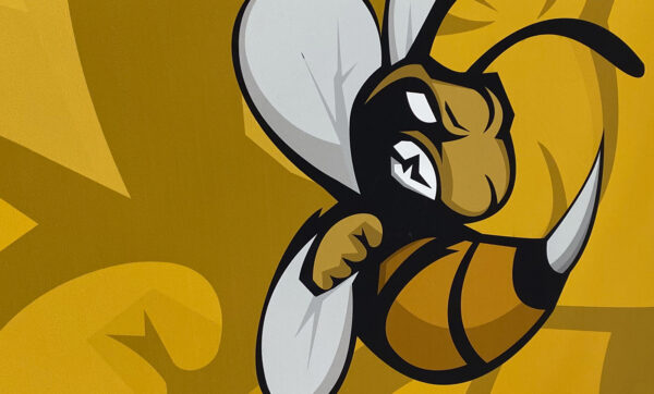 graphic of angry hornet with yellow background