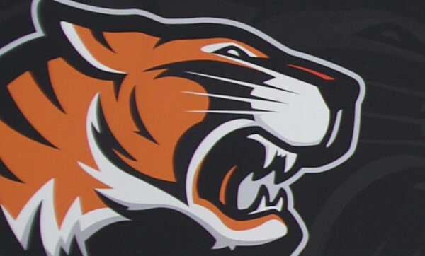 graphic of snarling tiger head with black background